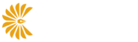 Chapter International transparent